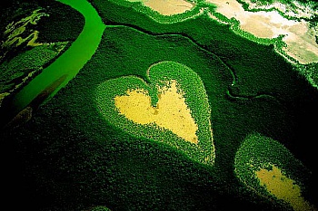 Arthus-Bertrand Yann 