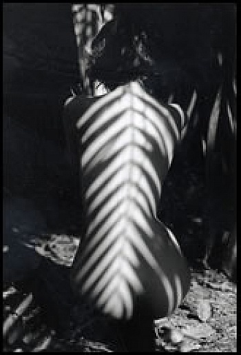 Mathéossian Jean-Michel 