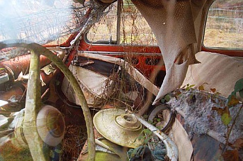 Humbert Jean-François 