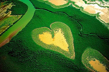 Arthus-Bertrand Yann 