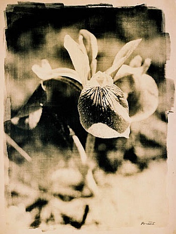 Bonnière Christophe 