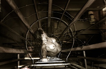 Bérubé Frédérique 