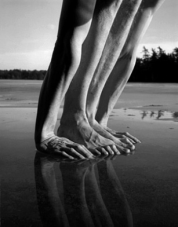 Minkkinen Arno Rafael 