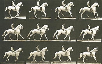 Muybridge Eadweard 
