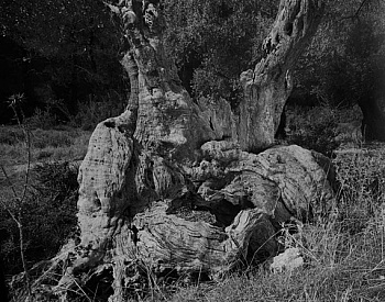 Von Alvensleben Christian 