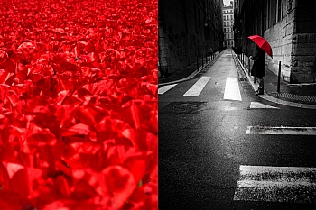 Viale Amélie 