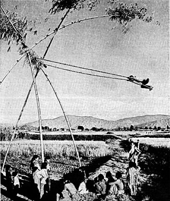 Tudela Armando Andrade 