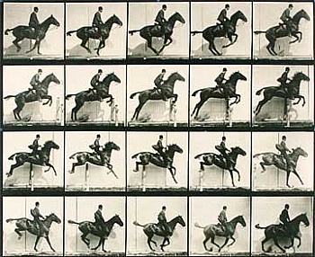Muybridge Eadweard 