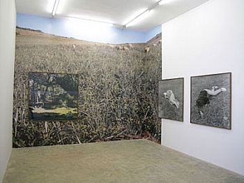 Barrada Yto