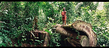 Von Graffenried Michael 