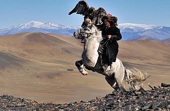 Sardar-Afkhami Hamid 