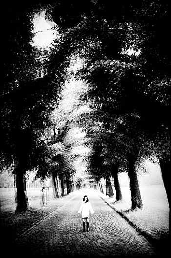 Spricigo Jean-François 