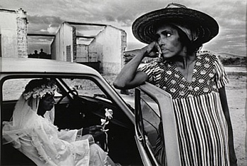 Salgado Sebastião
