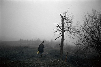 Van der Stockt Laurent 