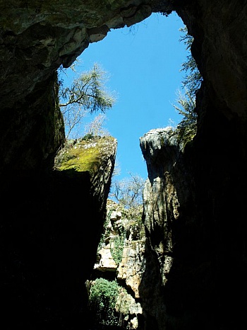 Fabriol Jean-françois 