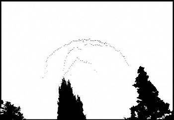 Seyed Hosseini Kaveh  