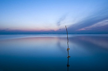 Chastanet Sébastien 