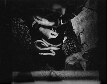 Hyytiäinen Arja Katariina 