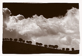 Ferreira José Miguel 