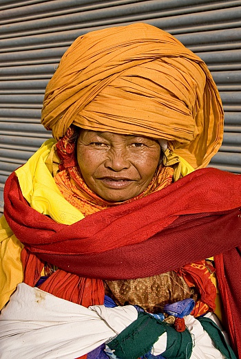 Rollo van de Vyver Yann 