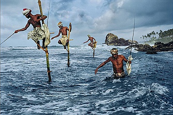 McCurry Steve