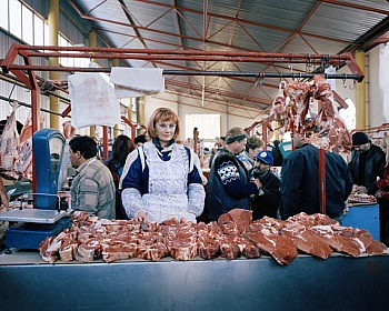 Parr Martin