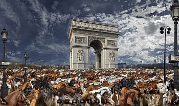 Rauzier Jean-François 