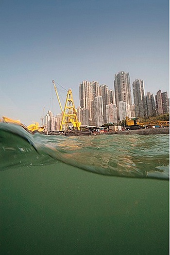 Müller-Pohle Andreas 