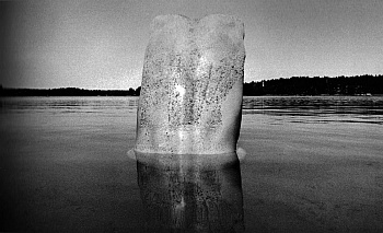 Minkkinen Arno Rafael 