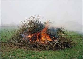 Deladerrière François 