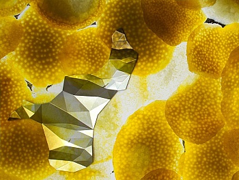 De l'Ecotais Mathilde 