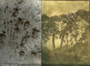 De Crespy Le Prince Charles 