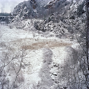 Lambermont Catherine 