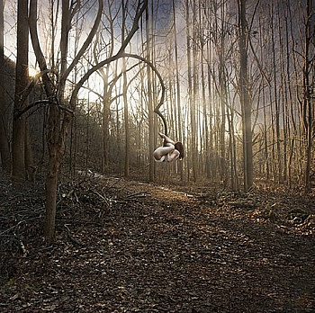 Jane Samuelson Haley 