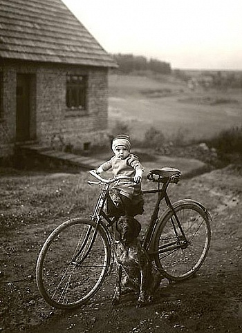 Sander August