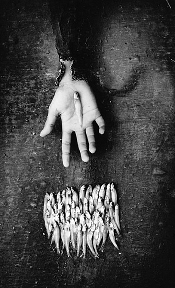 Costenoble Anne-Sophie 