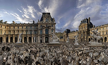 Rauzier Jean-François 