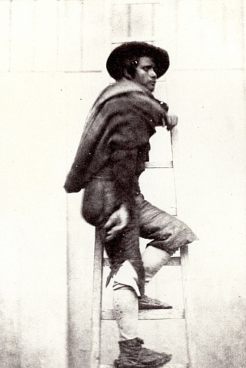 Nadar