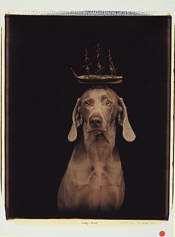 Wegman William