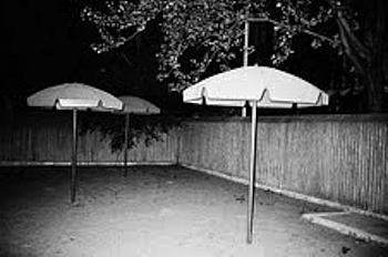 Couzinet-Jacques Sylvain 