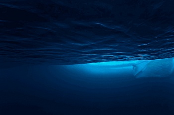 Six Feet and Perfect  