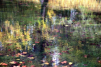 Hagenmüller Marie-Lys  