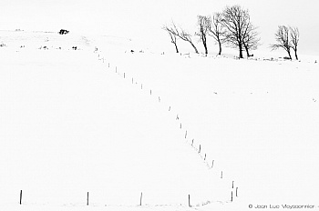 Meyssonnier  Jean-Luc 