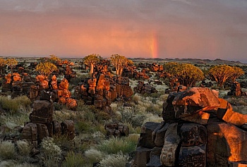 Figueroa Flores Gabriel 