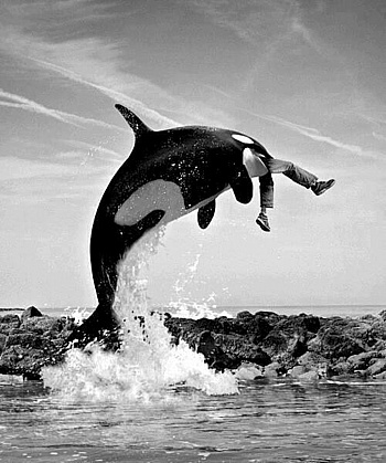 Banier François-Marie 