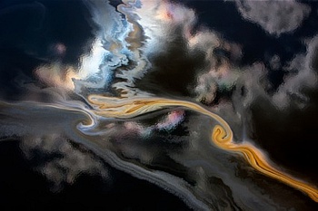 Arthus-Bertrand Yann 