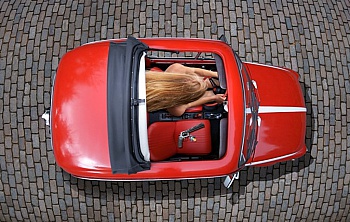 Van der Elst Patrick 