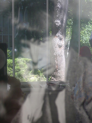 Procoudine-Gorsky Sergueï Mikhaïlovitch  