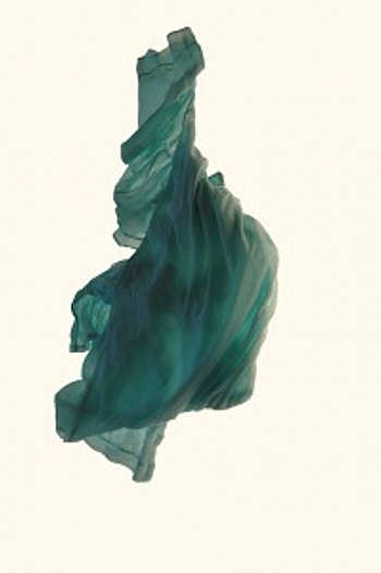 Longuet Allerme Edith 