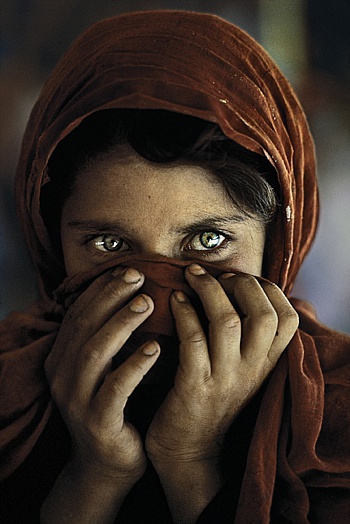 McCurry Steve